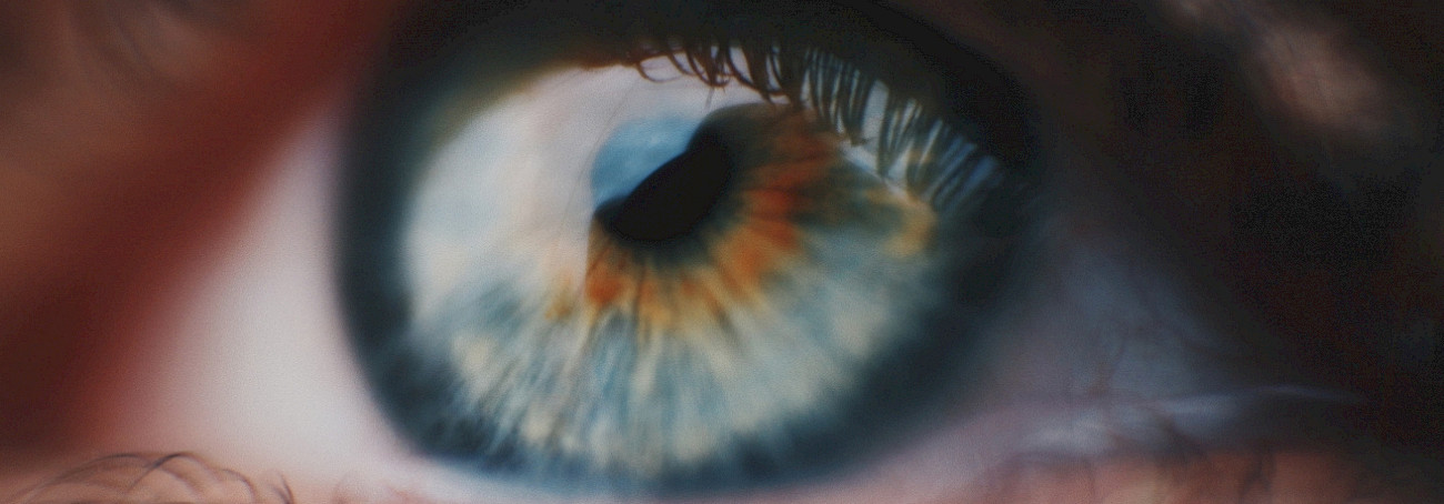 Retina des Auges