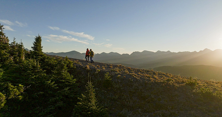 agile+® für die optimale Genesung nach Einsetzen eines künstlichen Hüft- oder Kniegelenks