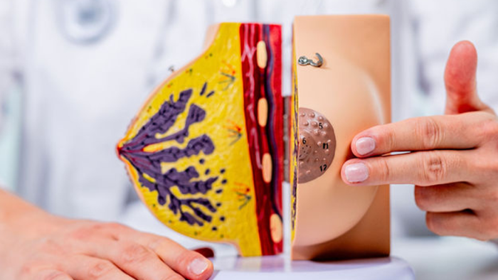 Brustkrebsbewusstsein im Oktober: Rosa Schleife und sanfte Symbole zur Unterstützung der Prävention und Früherkennung von Brustkrebs.